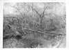 Woodroad_Bridge