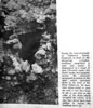 Glaisnock_well