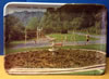 Woodroad_Park_Tray