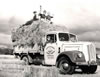 Harvest