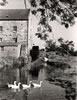 Ochiltree_Mill