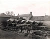 Wartime_Changue