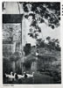 025CAM_1950_-_25