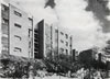 044CAM_1968_-_44