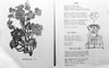 017Cumnock_Academy_Magazine_197317