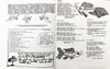 023CAM_197523