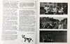 016Cumnock_Academy_Magazine_197716