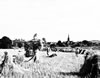 Bankend harvest