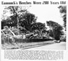Beeches Corner 1971