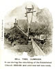 Strand_View_of_Bell_Tree2