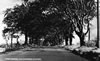View_of_Satation_Avenue