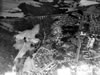 1950s Barrhill 