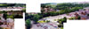 1990 Tanyard Panorama