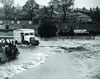 1966
