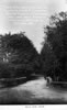 Bello Path