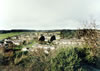 IHolmhead from Stepends