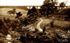 Murray_Park1
