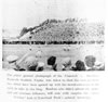 1950