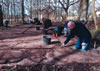 Pennylands_Community_Excavation_3