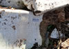 Pennylands_Community_Excavation_4