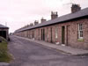 Skares_rows_colour